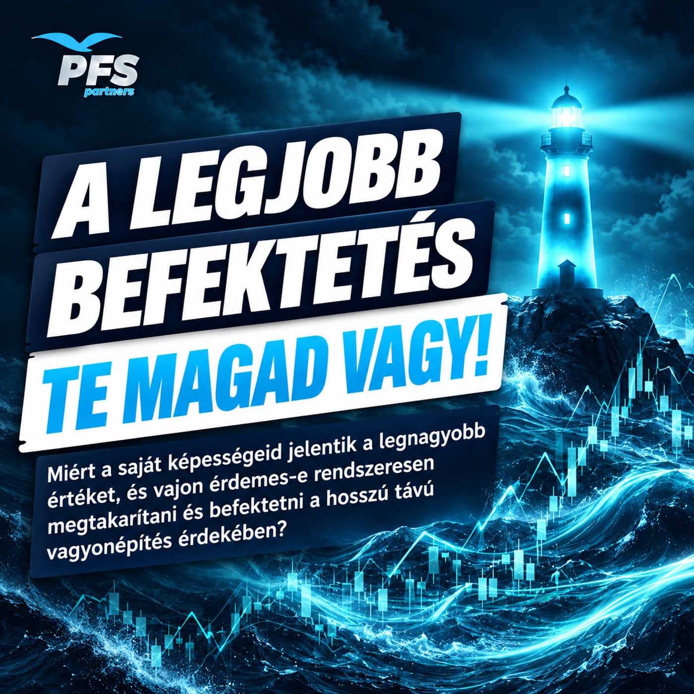 Cover zu A legjobb részvényed te magad vagy!